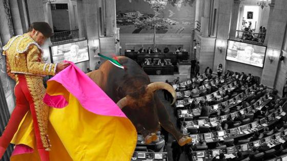 prohibición de toros prohibición de toros