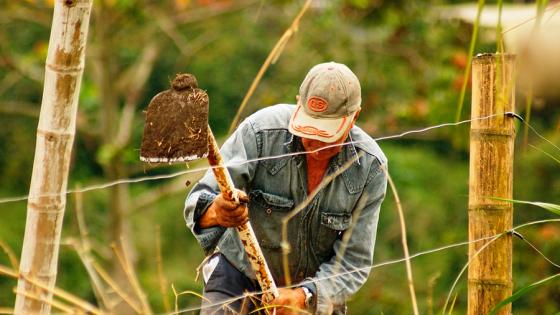 nuevas zonas reserva campesina