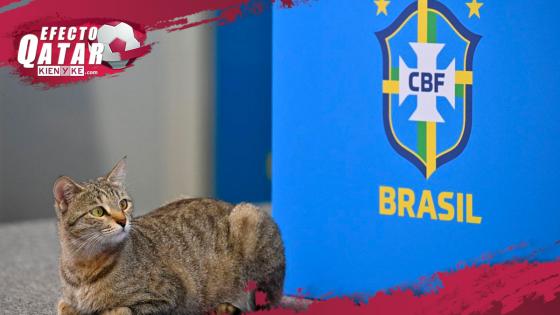 Brasil Brasil