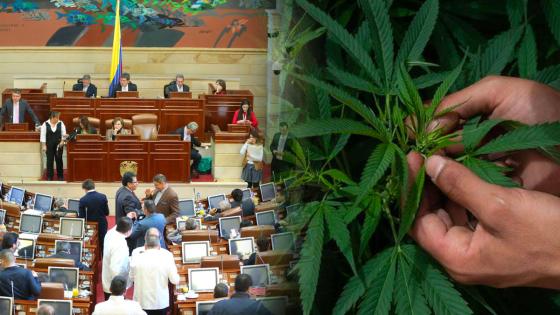 senado-cannabis