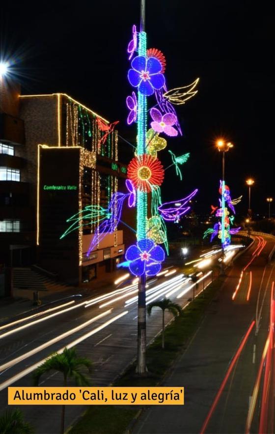 Así lucen los alumbrados navideños en algunas ciudades de Colombia Así lucen los alumbrados navideños en algunas ciudades de Colombia