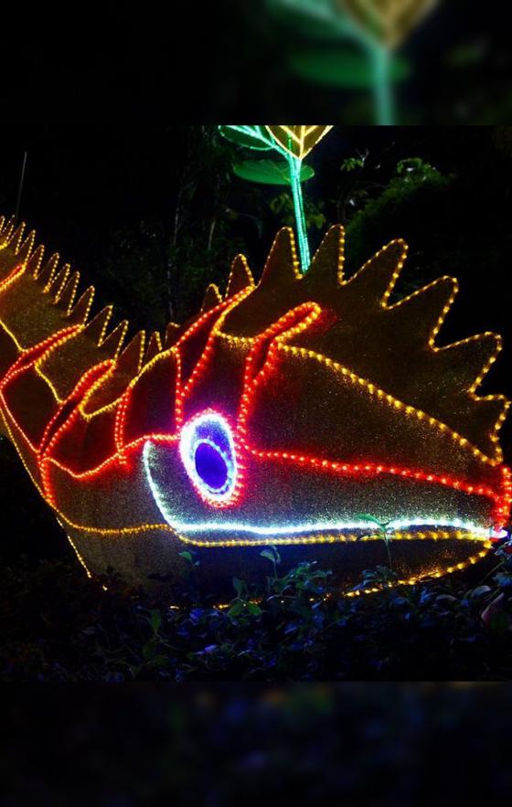 Así lucen los alumbrados navideños en algunas ciudades de Colombia Así lucen los alumbrados navideños en algunas ciudades de Colombia