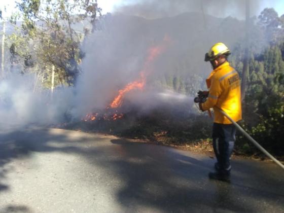 Antioquia incendios noticias 