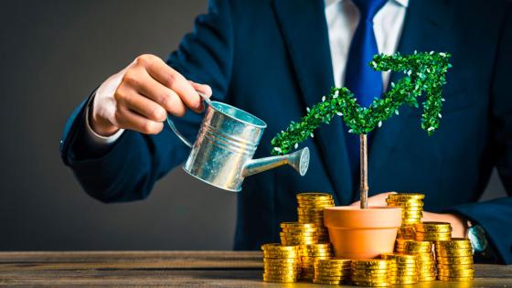Inversión Inversión