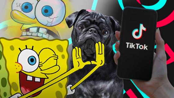 alt tiktok tía paola alt tiktok tía paola