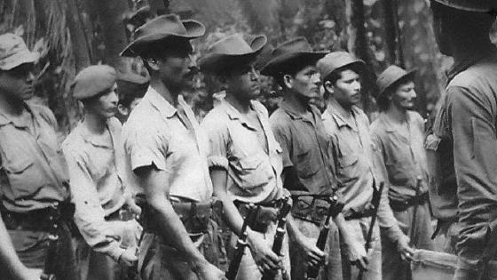 El ELN llegó a ser la segunda guerrilla más importante del continente El ELN llegó a ser la segunda guerrilla más importante del continente
