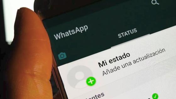Nueva actualización para los estados de WhatsApp Nueva actualización para los estados de WhatsApp
