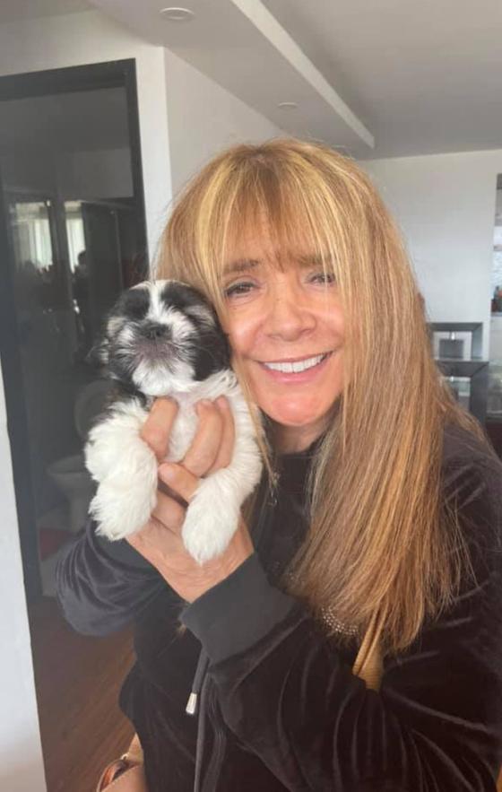 Patricia Silva: ¿Qué ha pasado con la humorista de Sábados Felices? Patricia Silva: ¿Qué ha pasado con la humorista de Sábados Felices?