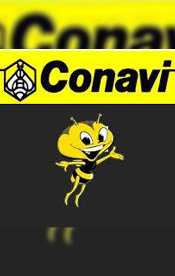 Las mascotas de algunas marcas colombianas Las mascotas de algunas marcas colombianas