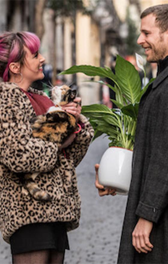 Netflix: Las series y películas que se estrenan en marzo Netflix: Las series y películas que se estrenan en marzo