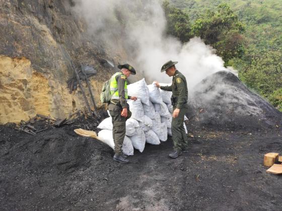 quema de árboles Medellín noticias quema de árboles Medellín noticias