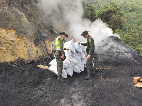 quema de árboles Medellín noticias 