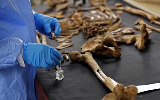 La titánica labor de identificar a más de 100.000 desaparecidos La titánica labor de identificar a más de 100.000 desaparecidos