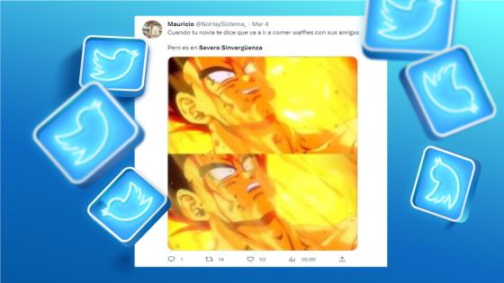 'Severo sinvergüenza': los memes que ha dejado este polémico negocio 'Severo sinvergüenza': los memes que ha dejado este polémico negocio