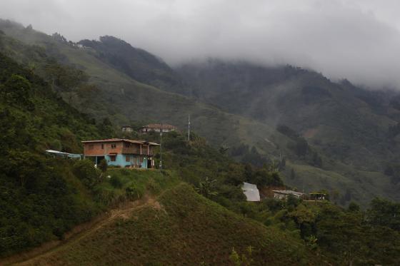 Conozca la historia de esta finca en Bello Antioquia La historia de una finca es muestra de resiliencia en Colombia.
