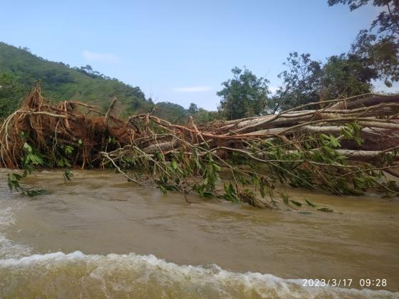 El Bagre Antioquia noticias Colombia 