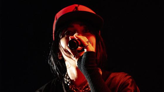 Las postales que dejó el concierto de Billie Eilish en el FEP Las postales que dejó el concierto de Billie Eilish en el FEP