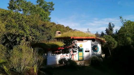 Cabaña techo verde 