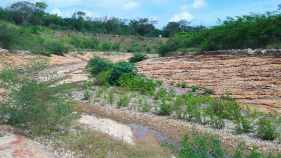 Arroyo Bruno, territorio en disputa en La Guajira El Arroyo Bruno, de La Guajira.