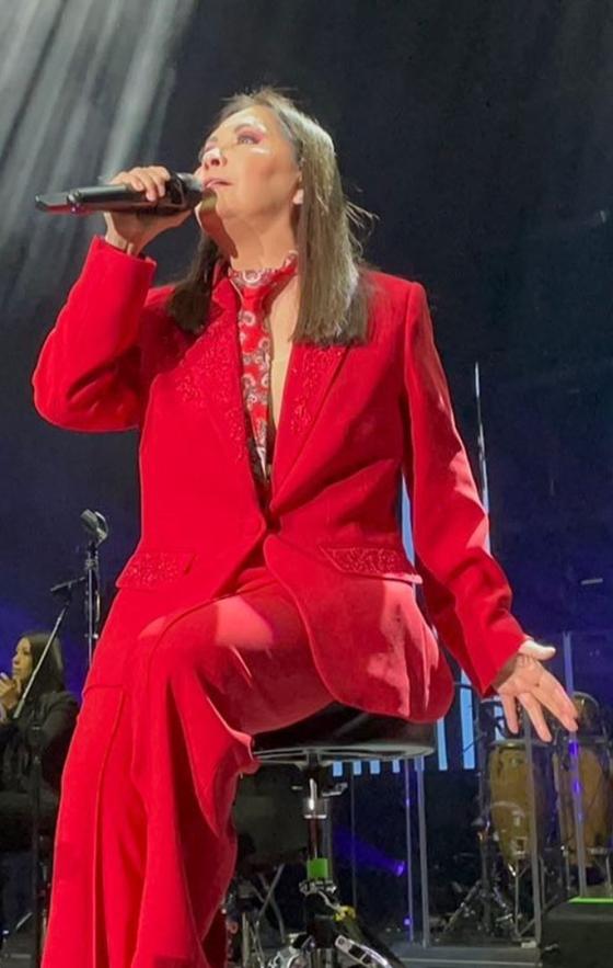 Ana Gabriel: así se ha gestado su exitosa carrera Ana Gabriel: así se ha gestado su exitosa carrera