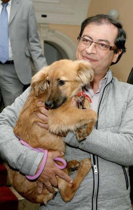 Las mascotas más famosas de algunos políticos colombianos Las mascotas más famosas de algunos políticos colombianos
