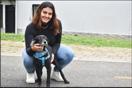 lenon perro adoptado la perla lenon perro adoptado la perla