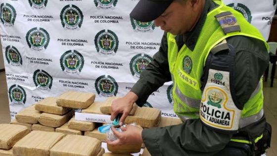Incautan 533 kilos de marihuana Incautan 533 kilos de marihuana