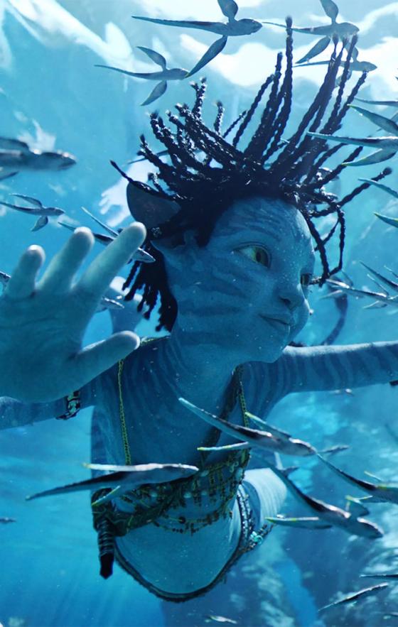 Premios Oscar: conozca a los ganadores de la edición 2023 Premios Oscar: conozca a los ganadores de la edición 2023