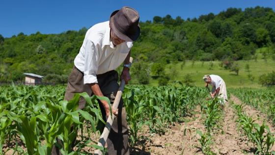 Reforma agraria