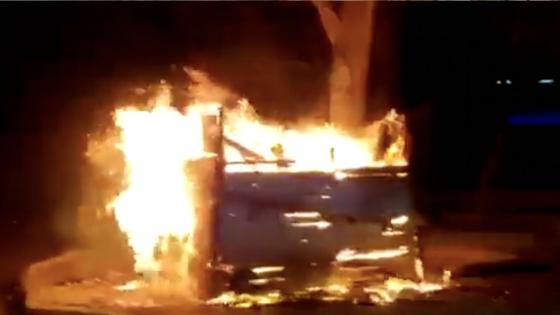 queman vivos gatos en Santa Marta 