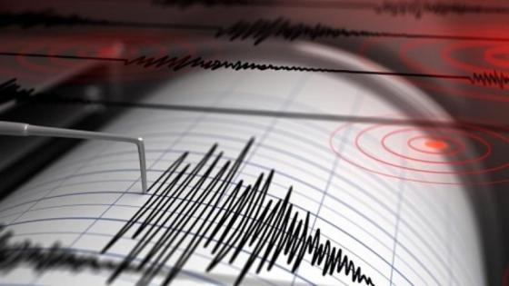 Terremoto Terremoto en Nueva Zelanda