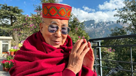 Dalai Lama se disculpa Las disculpas del Dalai Lama