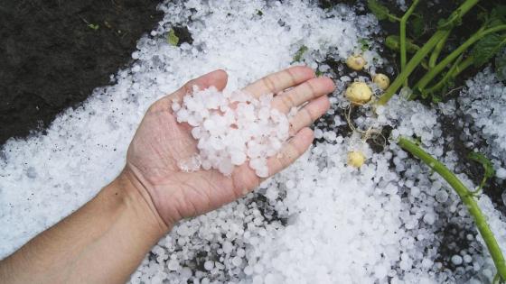 granizada en Medellín causa estragos granizada en Medellín causa estragos