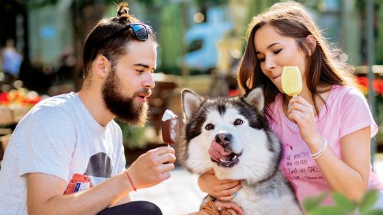 El helado de origen vegetal crece como preferencia entre los consumidores