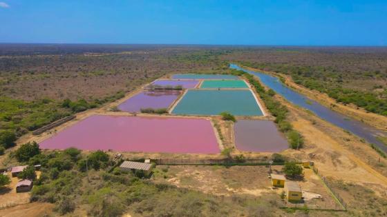 La Guajira le apuesta a reverdecer por medio del turismo, la ciencia y la innovación La Guajira le apuesta a reverdecer por medio del turismo, la ciencia y la innovación