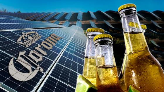 Cerveza Corona cambia su modelo de producción ¡Una cerveza más natural! Corona transforma su modelo de producción