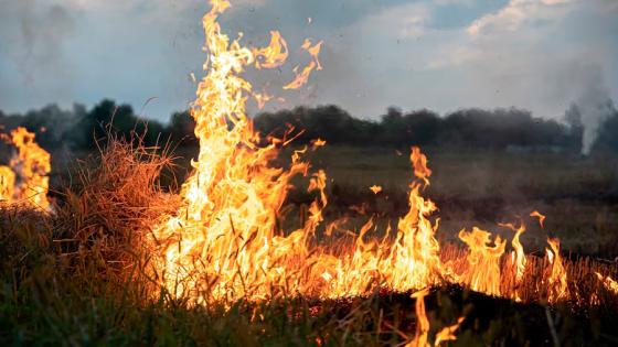 Barrancabermeja: Pozo petrolero explotó y dejó personas heridas Barrancabermeja: Pozo petrolero explotó y dejó personas heridas