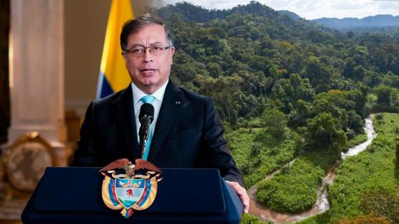 Selva Amazónica: Petro resalta millonaria inversión para su recuperación ante la ONU