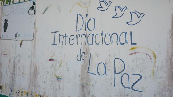 La nueva vida de los excombatientes de las Farc: así conviven en los ETCR La nueva vida de los excombatientes de las Farc: así conviven en los ETCR
