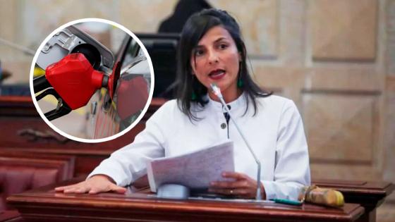 Ministra Irene Velez precio diferencial Ministra Irene Velez precio diferencial
