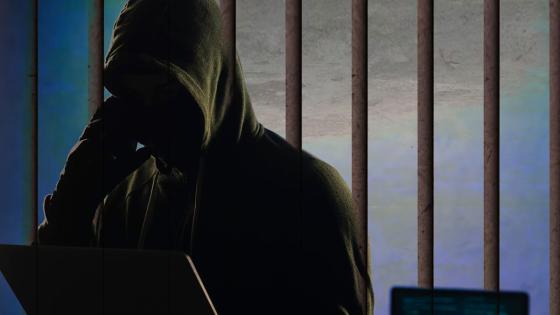 Cárcel para ciberdelincuente Ciberdelincuente