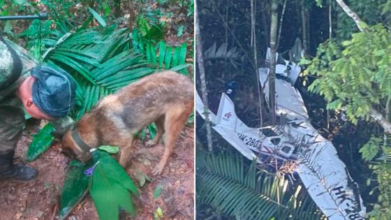Encuentran huellas frescas de niños perdidos en Guaviare Niños perdidos