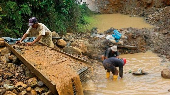 Minería Ilegal en Antioquia Minería Ilegal