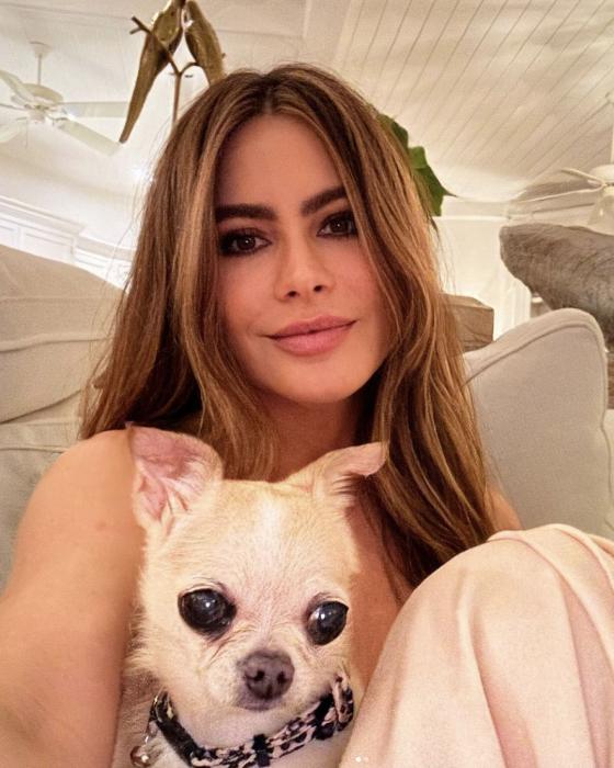 Las mascotas de Sofía Vergara Las mascotas de Sofía Vergara