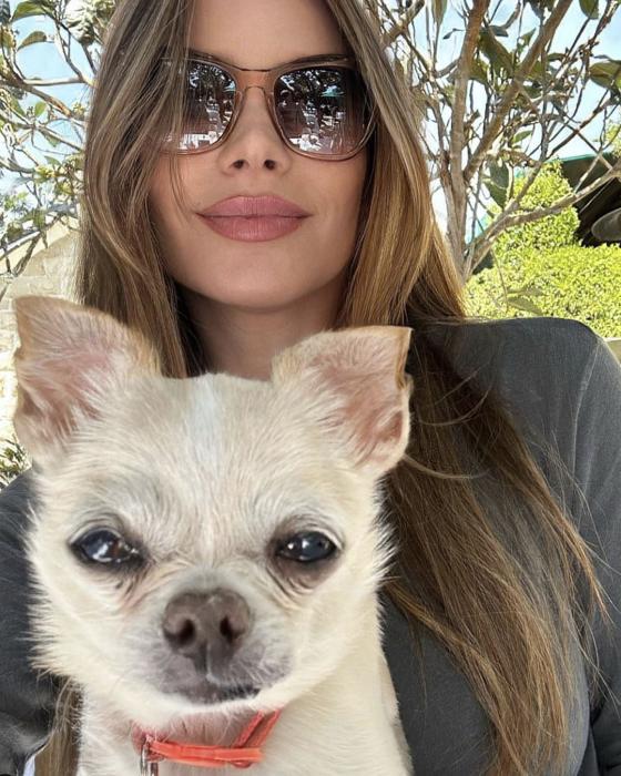 Las mascotas de Sofía Vergara Las mascotas de Sofía Vergara