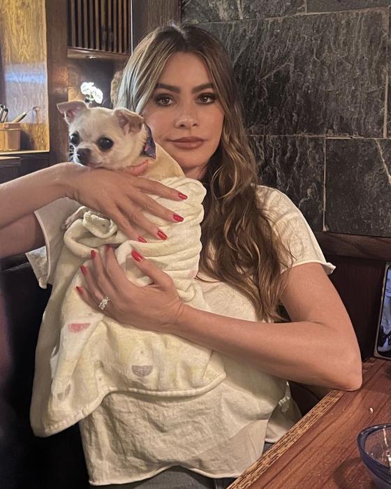 Las mascotas de Sofía Vergara Las mascotas de Sofía Vergara