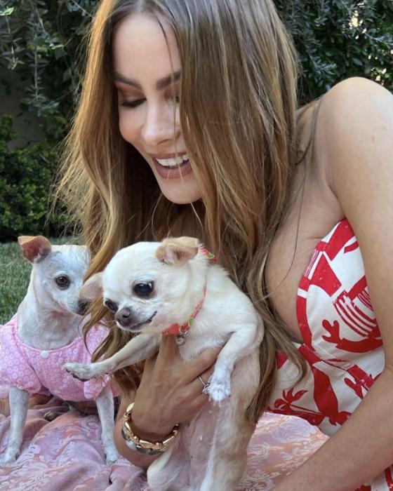Las mascotas de Sofía Vergara Las mascotas de Sofía Vergara