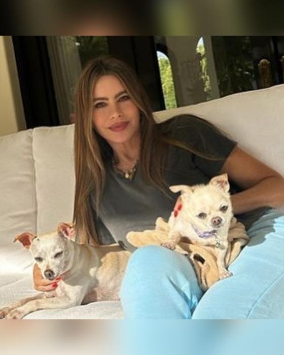 Las mascotas de Sofía Vergara Las mascotas de Sofía Vergara