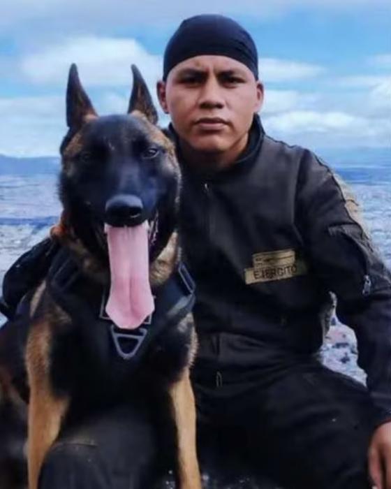 Perro Wilson: Así lucía cuando era cachorro Perro Wilson: Así lucía cuando era cachorro