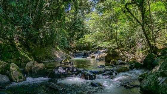 San Rafael Antioquia ecoturismo